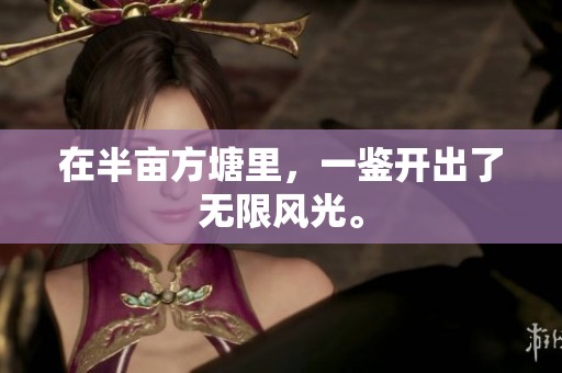 在半亩方塘里，一鉴开出了无限风光。
