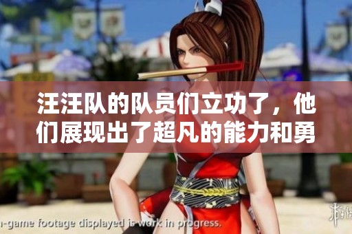 汪汪队的队员们立功了，他们展现出了超凡的能力和勇气