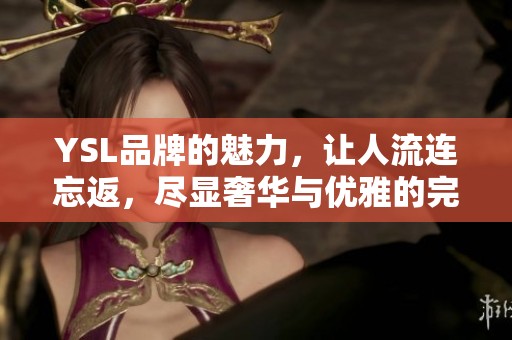 YSL品牌的魅力，让人流连忘返，尽显奢华与优雅的完美结合