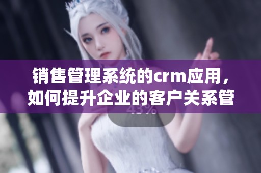 销售管理系统的crm应用，如何提升企业的客户关系管理效率