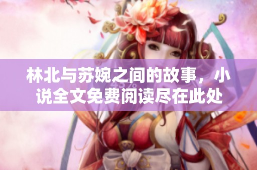 林北与苏婉之间的故事，小说全文免费阅读尽在此处