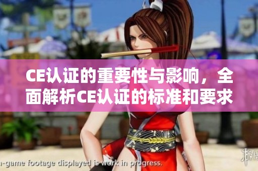 CE认证的重要性与影响，全面解析CE认证的标准和要求
