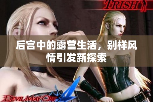 后宫中的露营生活，别样风情引发新探索