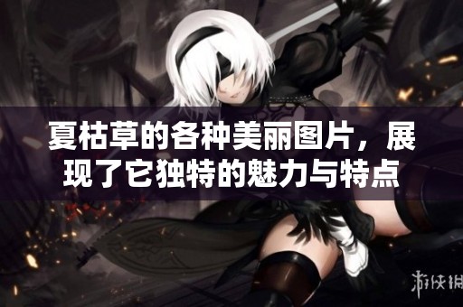 夏枯草的各种美丽图片，展现了它独特的魅力与特点