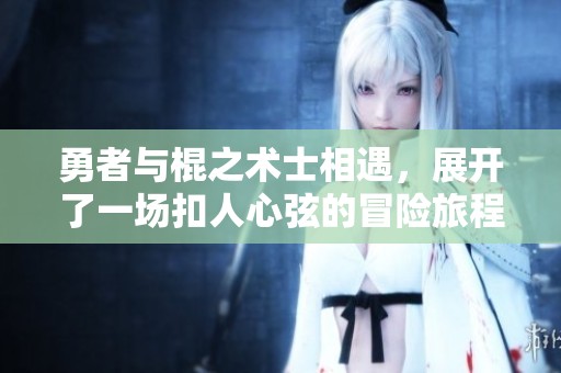 勇者与棍之术士相遇，展开了一场扣人心弦的冒险旅程