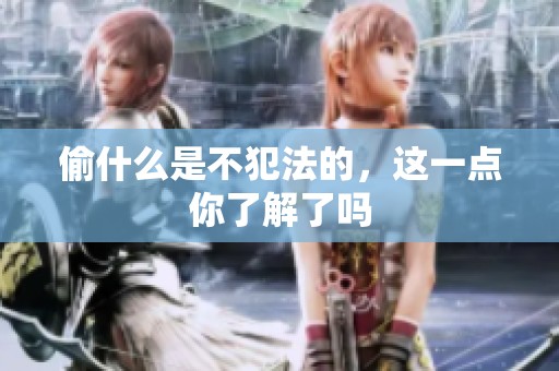 偷什么是不犯法的，这一点你了解了吗
