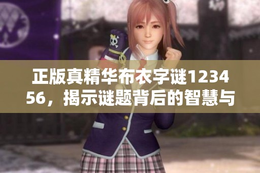 正版真精华布衣**123456，揭示谜题背后的智慧与乐趣