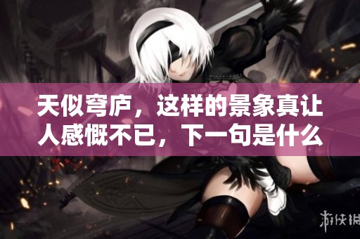 天似穹庐，这样的景象真让人感慨不已，下一句是什么呢？