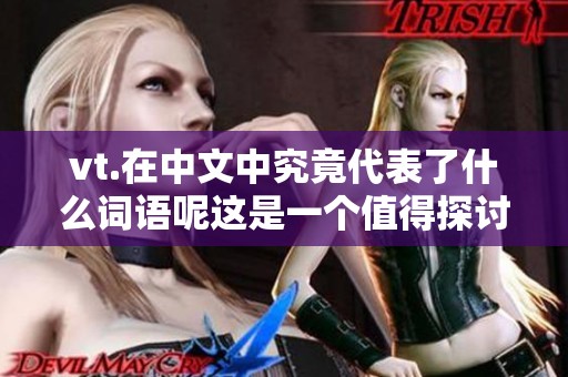 vt.在中文中究竟代表了什么词语呢这是一个值得探讨的问题