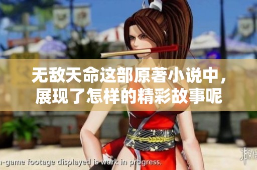 无敌天命这部原著小说中，展现了怎样的精彩故事呢