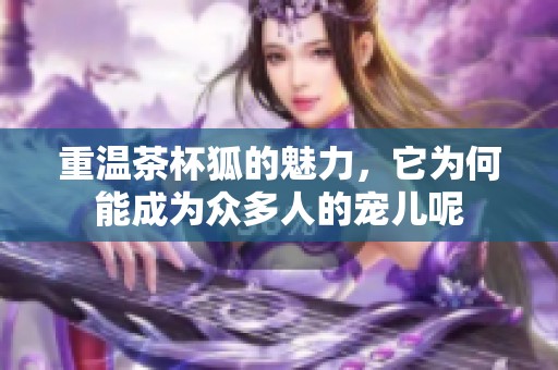 重温茶杯狐的魅力，它为何能成为众多人的宠儿呢