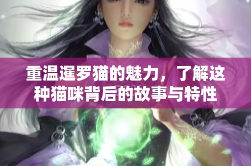 重温暹罗猫的魅力，了解这种猫咪背后的故事与特性