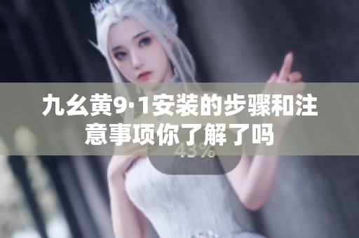 九幺黄9·1安装的步骤和注意事项你了解了吗