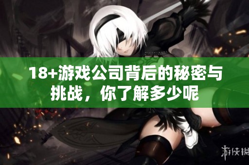 18+游戏公司背后的秘密与挑战，你了解多少呢