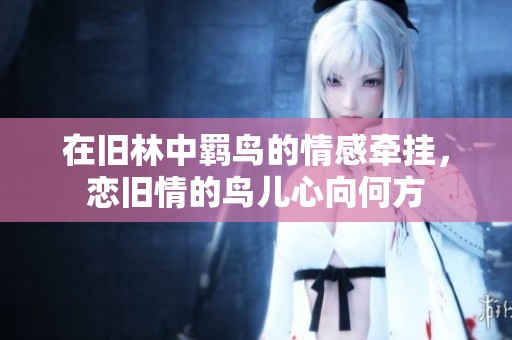 在旧林中羁鸟的情感牵挂，恋旧情的鸟儿心向何方
