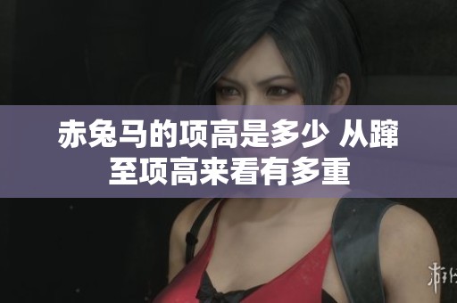 赤兔马的项高是多少 从蹿至项高来看有多重