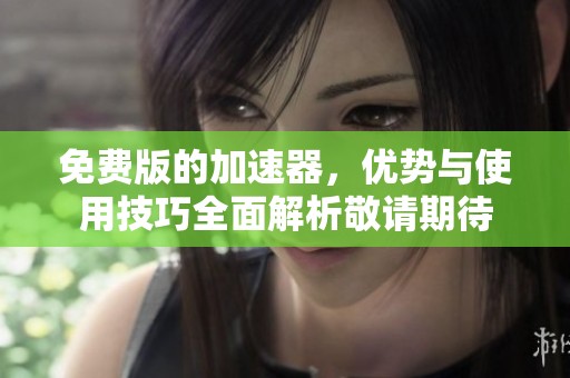 免费版的加速器，优势与使用技巧全面解析敬请期待