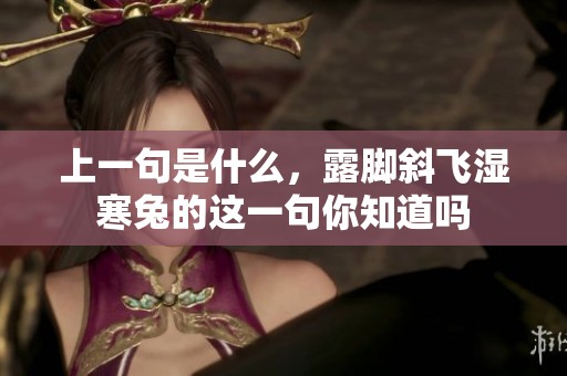 上一句是什么，露脚斜飞湿寒兔的这一句你知道吗