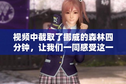 视频中截取了挪威的森林四分钟，让我们一同感受这一段精彩内容