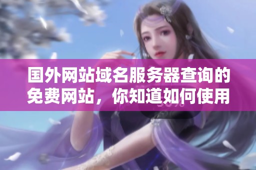 国外网站域名服务器查询的免费网站，你知道如何使用吗