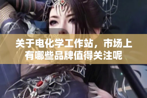 关于电化学工作站，市场上有哪些品牌值得关注呢