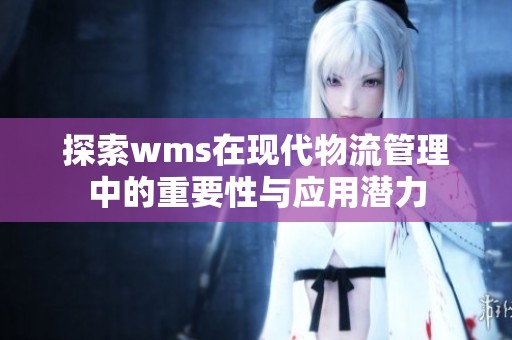 探索wms在现代物流管理中的重要性与应用潜力
