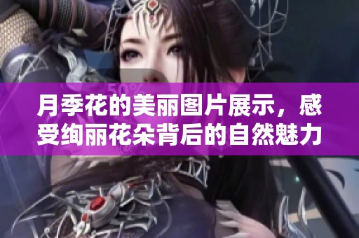 月季花的美丽图片展示，感受绚丽花朵背后的自然魅力