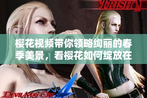 樱花视频带你领略绚丽的春季美景，看樱花如何绽放在画面之中