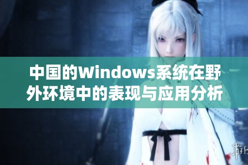 中国的Windows系统在野外环境中的表现与应用分析