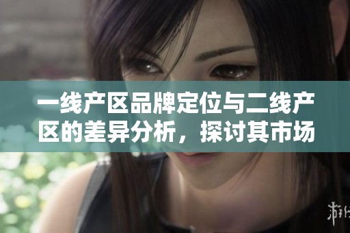 一线产区品牌定位与二线产区的差异分析，探讨其市场影响与发展策略