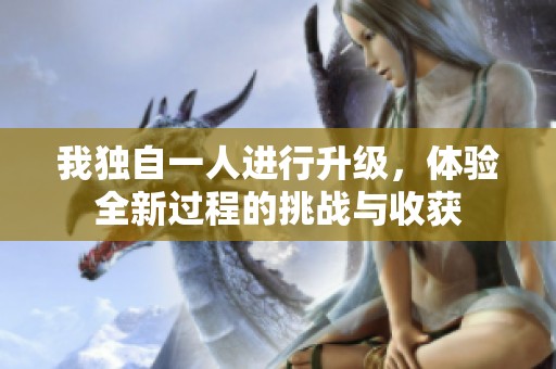 我独自一人进行升级，体验全新过程的挑战与收获