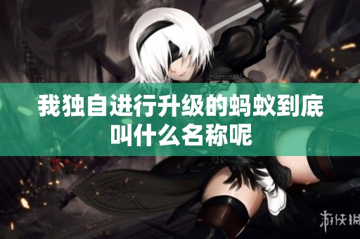 我独自进行升级的蚂蚁到底叫什么名称呢