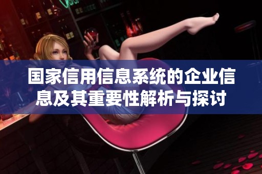 国家信用信息系统的企业信息及其重要性解析与探讨