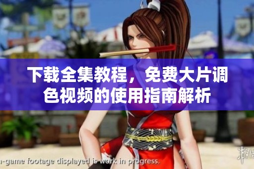 下载全集教程，免费大片调色视频的使用指南解析