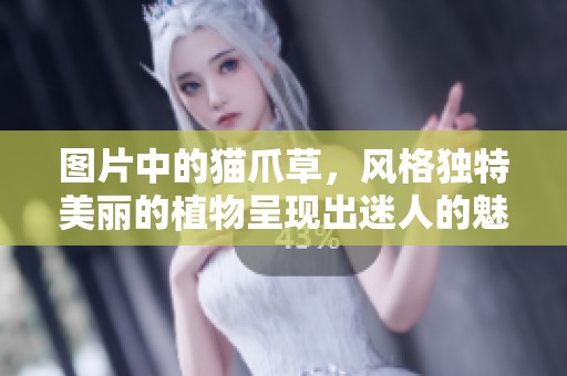 图片中的猫爪草，风格独特美丽的植物呈现出迷人的魅力