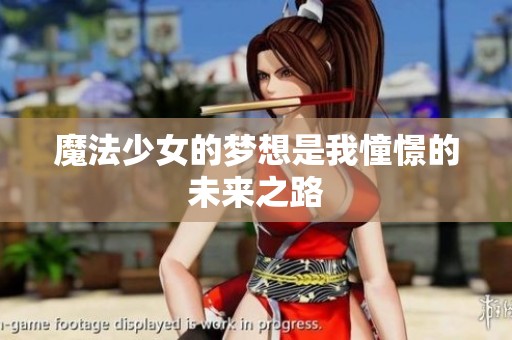 魔法少女的梦想是我憧憬的未来之路
