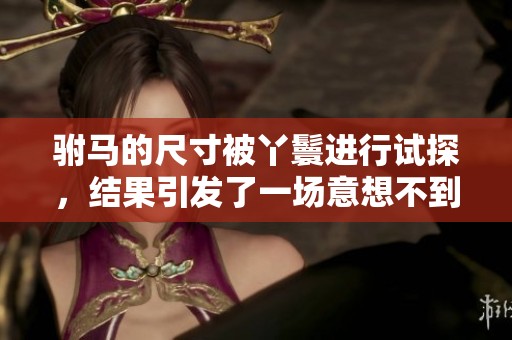 驸马的尺寸被丫鬟进行试探，结果引发了一场意想不到的风波
