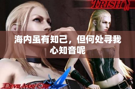 海内虽有知己，但何处寻我心知音呢
