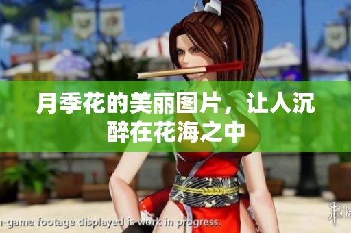 月季花的美丽图片，让人沉醉在花海之中