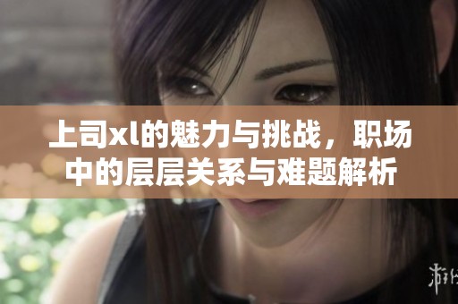 上司xl的魅力与挑战，职场中的层层关系与难题解析