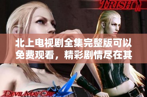 北上电视剧全集完整版可以免费观看，精彩剧情尽在其中 不容错过！