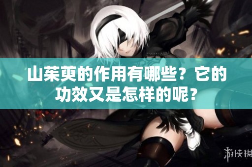 山茱萸的作用有哪些？它的功效又是怎样的呢？