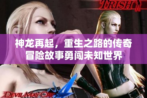 神龙再起，重生之路的传奇冒险故事勇闯未知世界