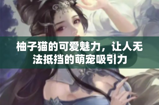 柚子猫的可爱魅力，让人无法抵挡的萌宠吸引力