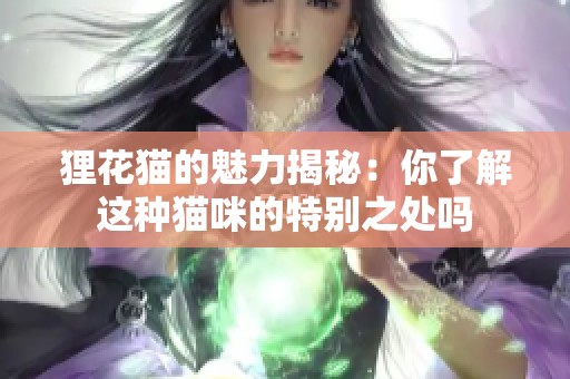 狸花猫的魅力揭秘：你了解这种猫咪的特别之处吗