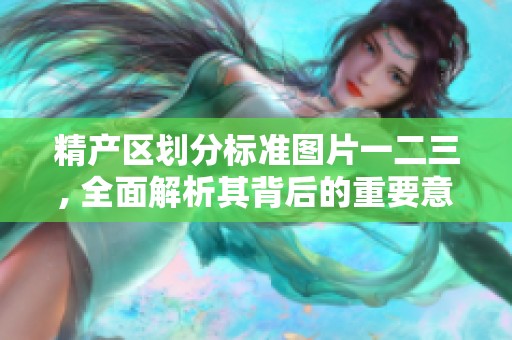 精产区划分标准图片一二三, 全面解析其背后的重要意义与应用