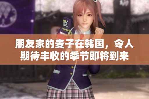 朋友家的麦子在韩国，令人期待丰收的季节即将到来