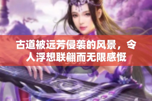 古道被远芳侵袭的风景，令人浮想联翩而无限感慨