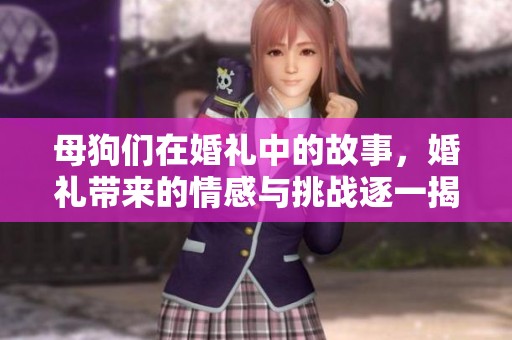 母狗们在婚礼中的故事，婚礼带来的情感与挑战逐一揭晓