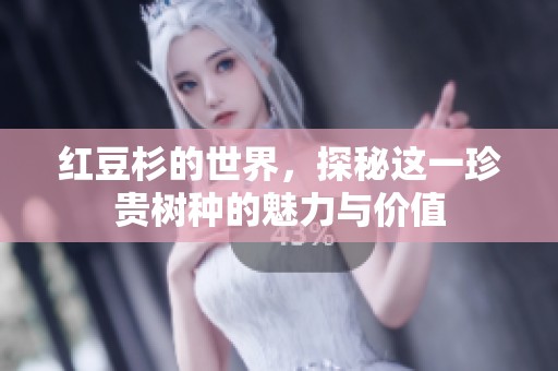 红豆杉的世界，探秘这一珍贵树种的魅力与价值